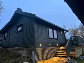 Hytte i Bjørnlia, Skaidi